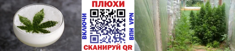 цена   Могоча  Еда ТГК конопля 