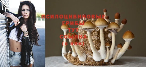 МДПВ Валуйки