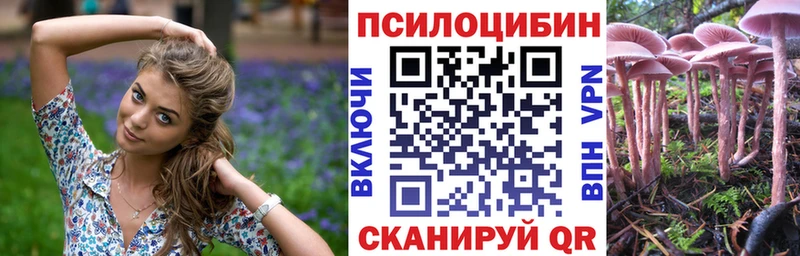 Галлюциногенные грибы мицелий  купить закладку  Могоча 